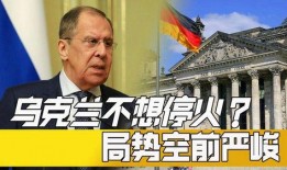 乌克兰局势最新爆料新闻,最新爆料揭示战事进展与各方动态